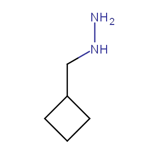 cas号: 894101-37-2 中文名称: (环丁基甲基)肼 英文名称
